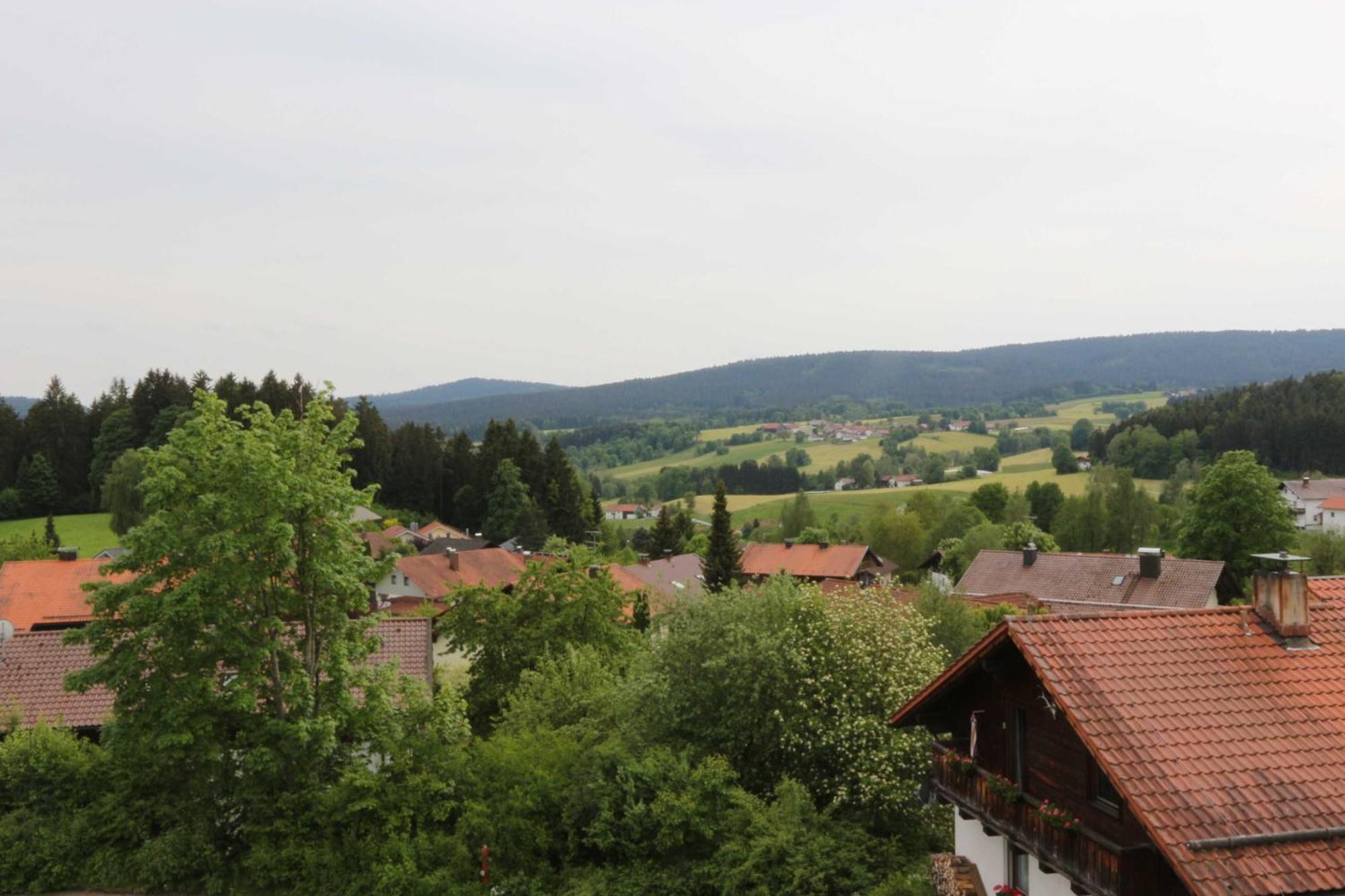 Fewo mit malerischem Bergblick im Bayerischen Wald Bischofsmais Exterior foto